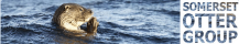 Somerset Otter Group