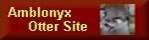 Amblonyx's excellent Otter site, featuring Tavy the Otter Cub.  A Friend of OtterJoy!