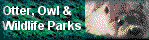New Forest and Chestnut Centre Otter, Owl and Wildlife Parks
