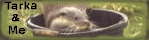 Tarka and Me - the website of the man who trained the otter used in the film