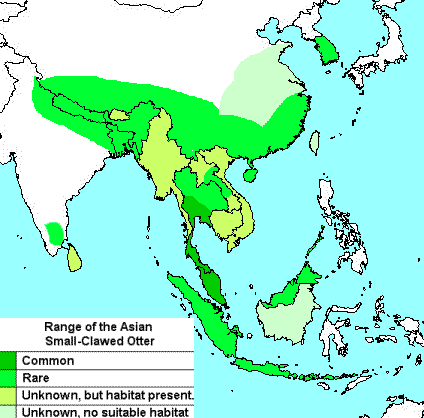 Distribution of Aonyx cinereus.  The areas labelled 'Unknown' are part of the historic range of this species