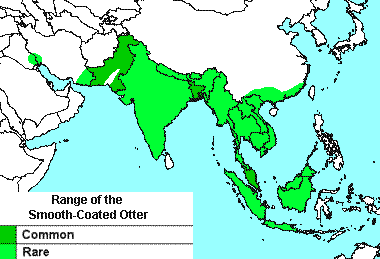 Distribution of Lutrogale perspicillata.